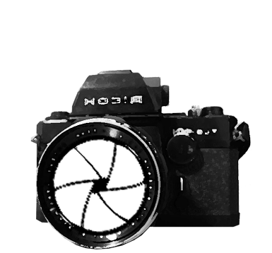 Camera Gif