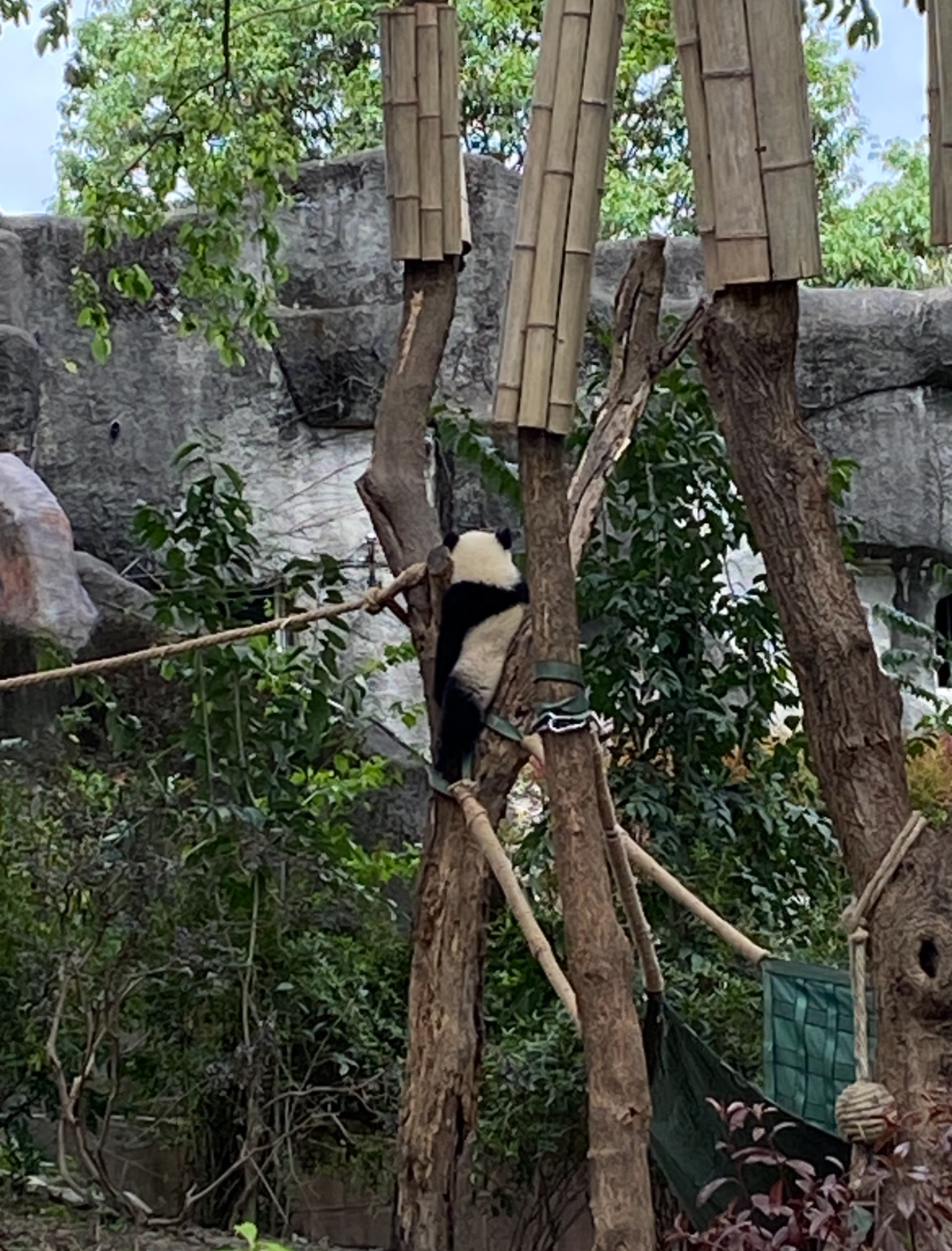 Chengdu