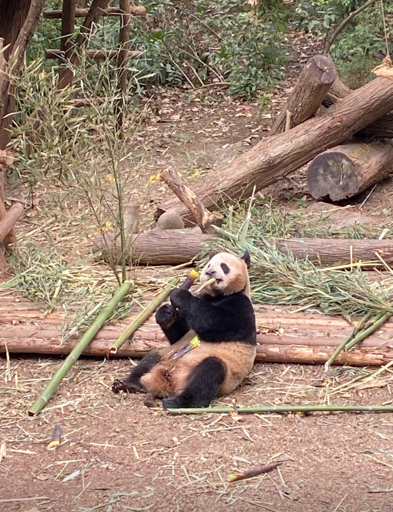 Chengdu