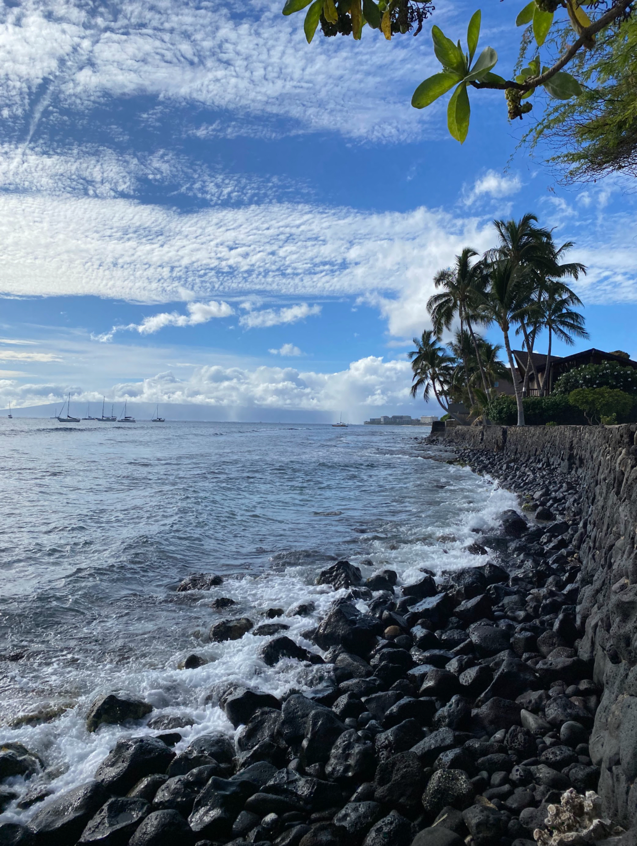 Maui