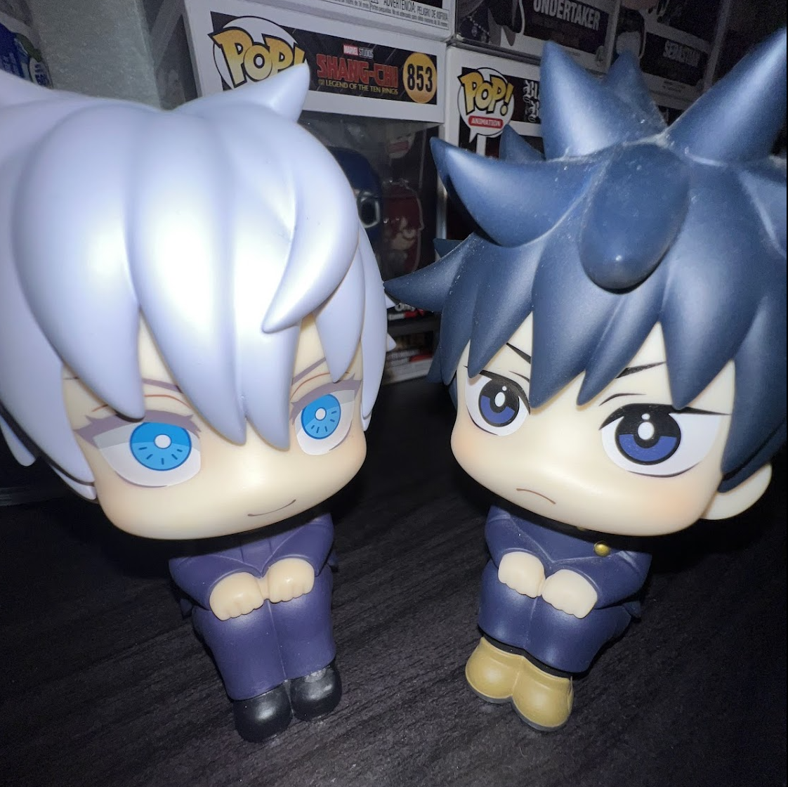 MegaHouse Look Up