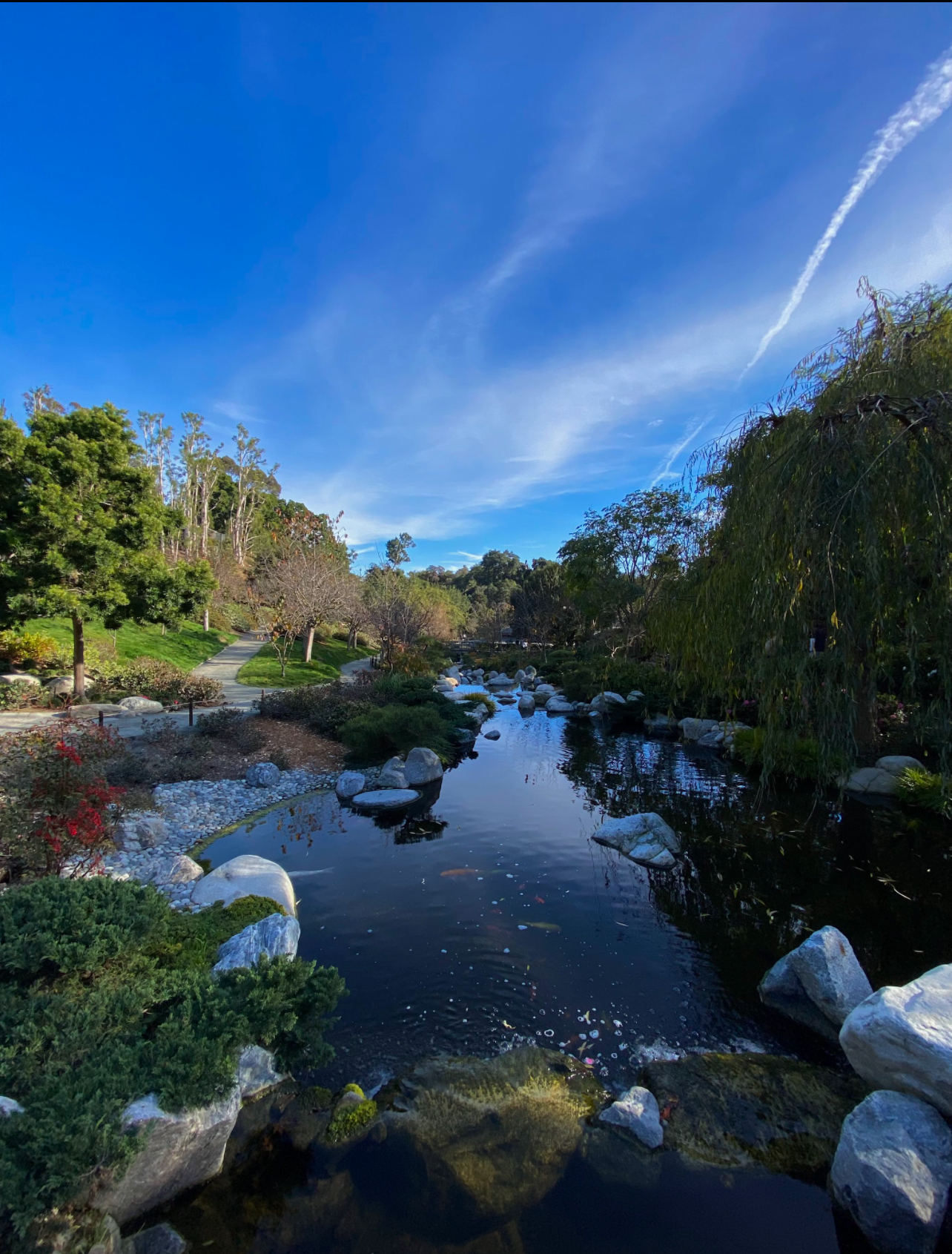 San Diego